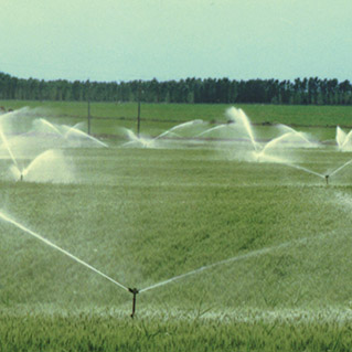 灌溉案例展示